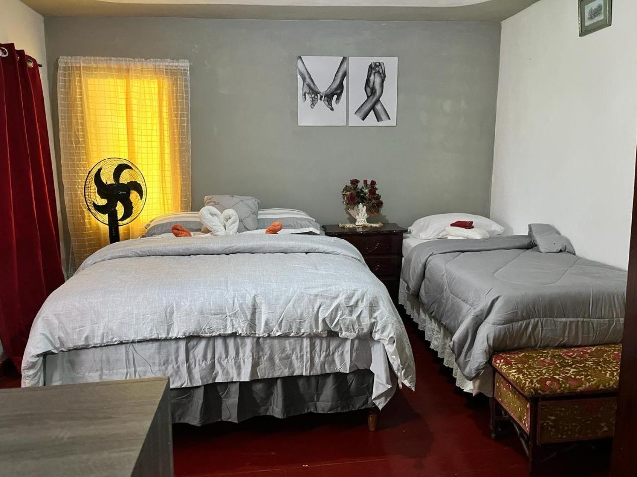 Nine Miles Cultural Hangouts And Tours Stepney Екстер'єр фото