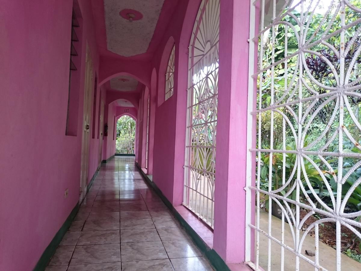 Nine Miles Cultural Hangouts And Tours Stepney Екстер'єр фото